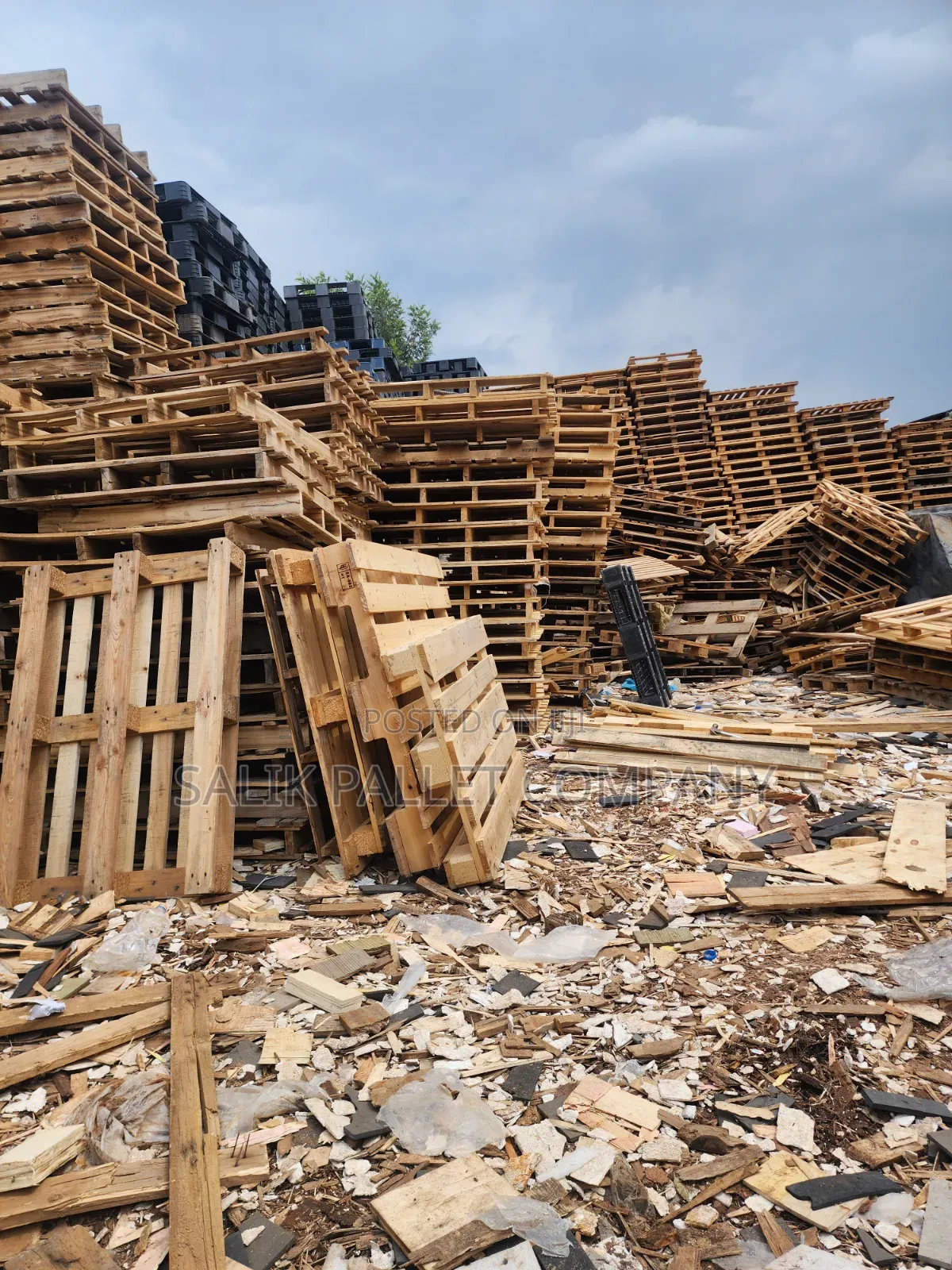 European Standard Pallet