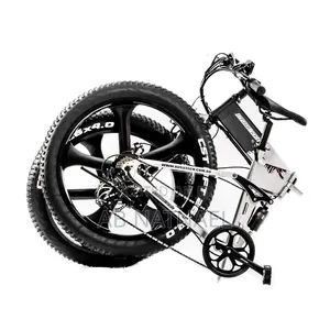 The Bicycle Has Been Out of Service for Three Months.