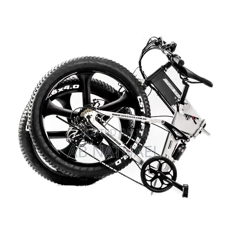 The Bicycle Has Been Out of Service for Three Months.