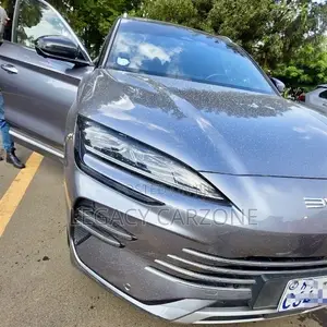 BYD Song Plus 2024 Gray