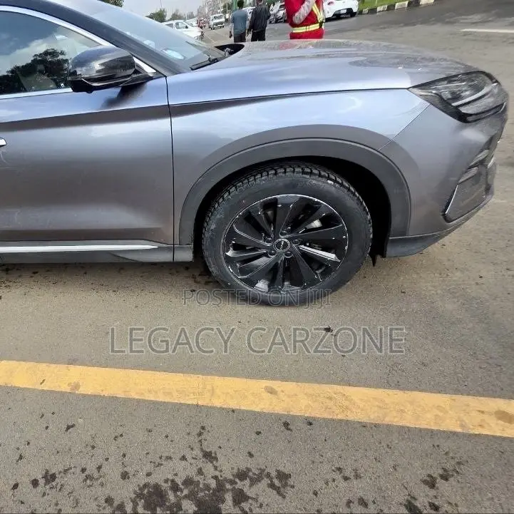 BYD Song Plus 2024 Gray