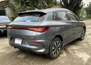 BYD E2 43 kWh 94 hp FWD 2024 Gray