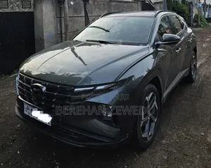 Hyundai Tucson 2021 Gray