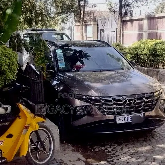 Hyundai Tucson 2022 Brown
