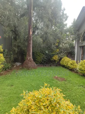 6bdrm House in G+1, Bole for rent