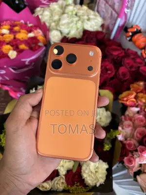 Apple iPhone 17 Pro 512 GB Orange