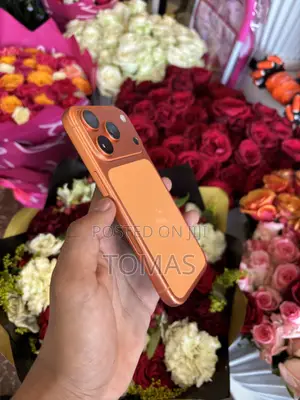 Apple iPhone 17 Pro 512 GB Orange