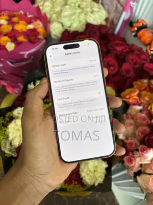 Apple iPhone 17 Pro 512 GB Orange