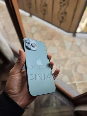 New Apple iPhone 13 Pro Max 256 GB Green
