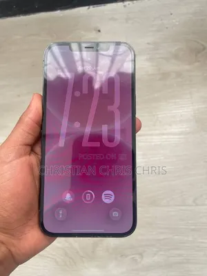 Apple iPhone 12 Pro Max 256 GB Blue