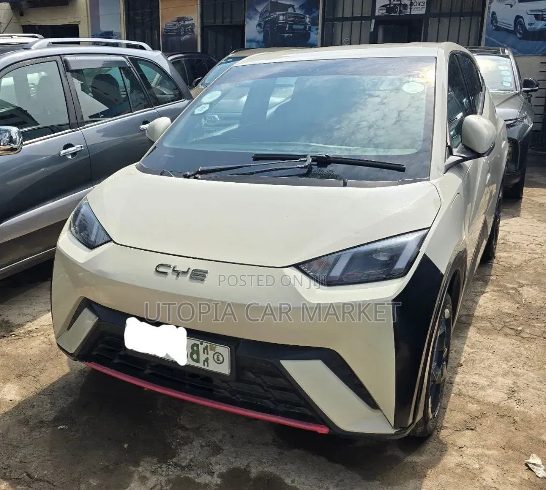BYD Seagull 2024