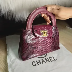 Chanel Bag Brand New Master Copy
