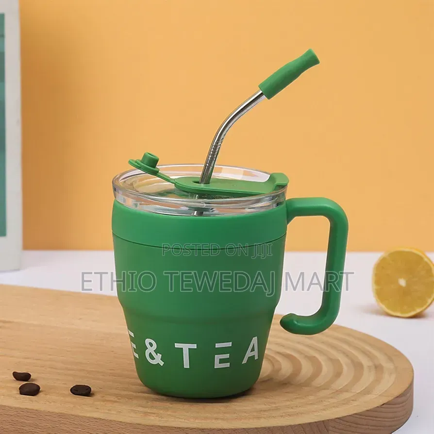 Water Cups Coffee Cup With Handle and Straw Lid 480ml