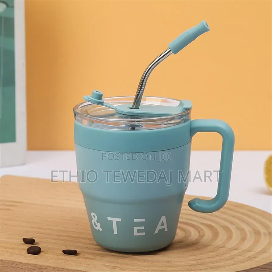 Water Cups Coffee Cup With Handle and Straw Lid 480ml