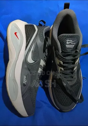 Nike Air Zoom Sneakers in Grey and White.