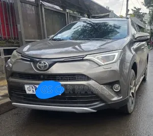 Toyota RAV4 2016 Gray