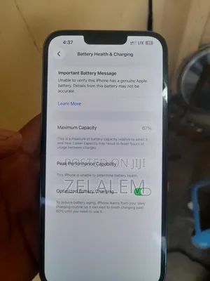 Apple iPhone 13 Pro Max 256 GB Blue