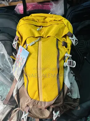 Hiking Bag