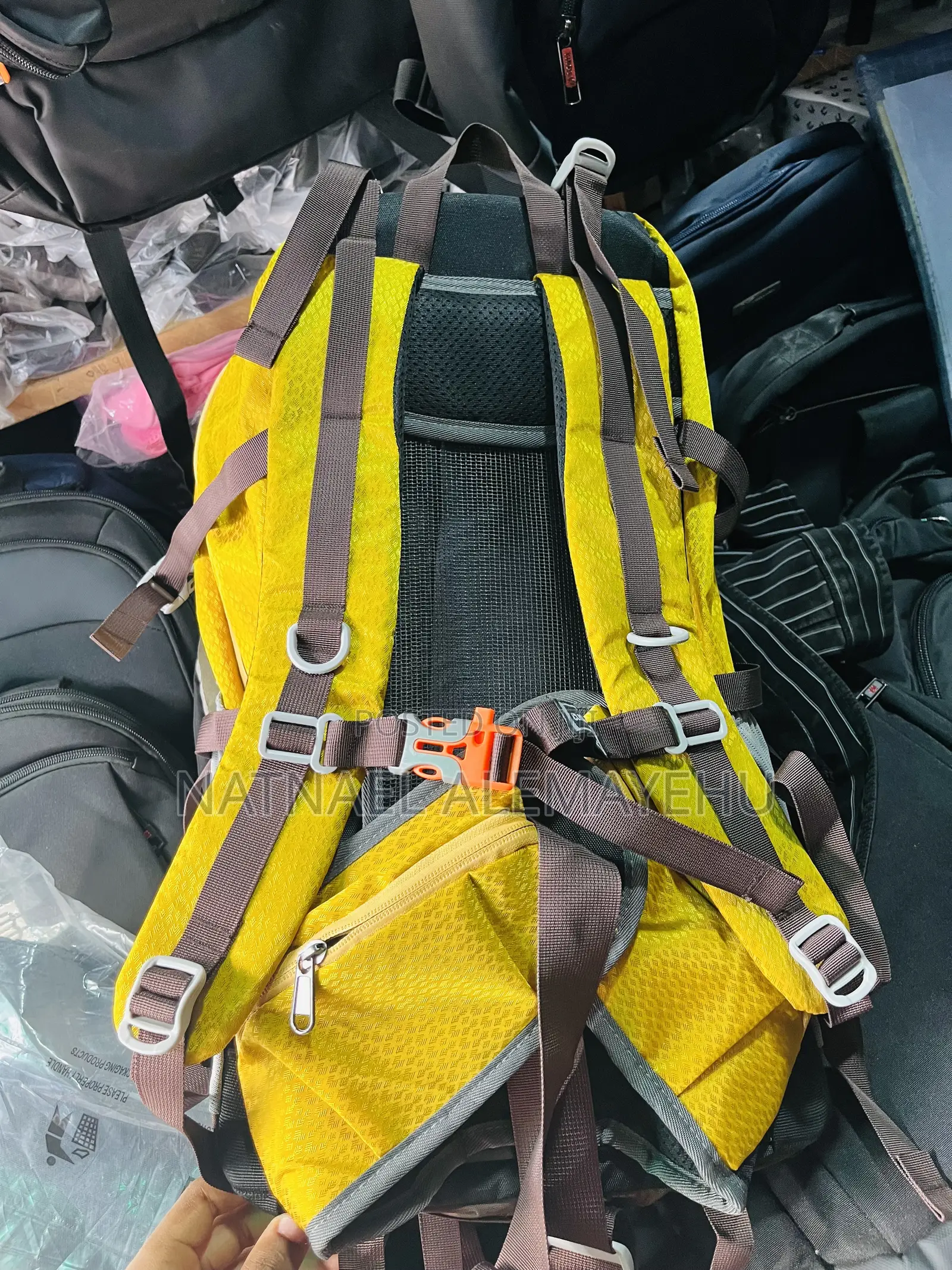 Hiking Bag