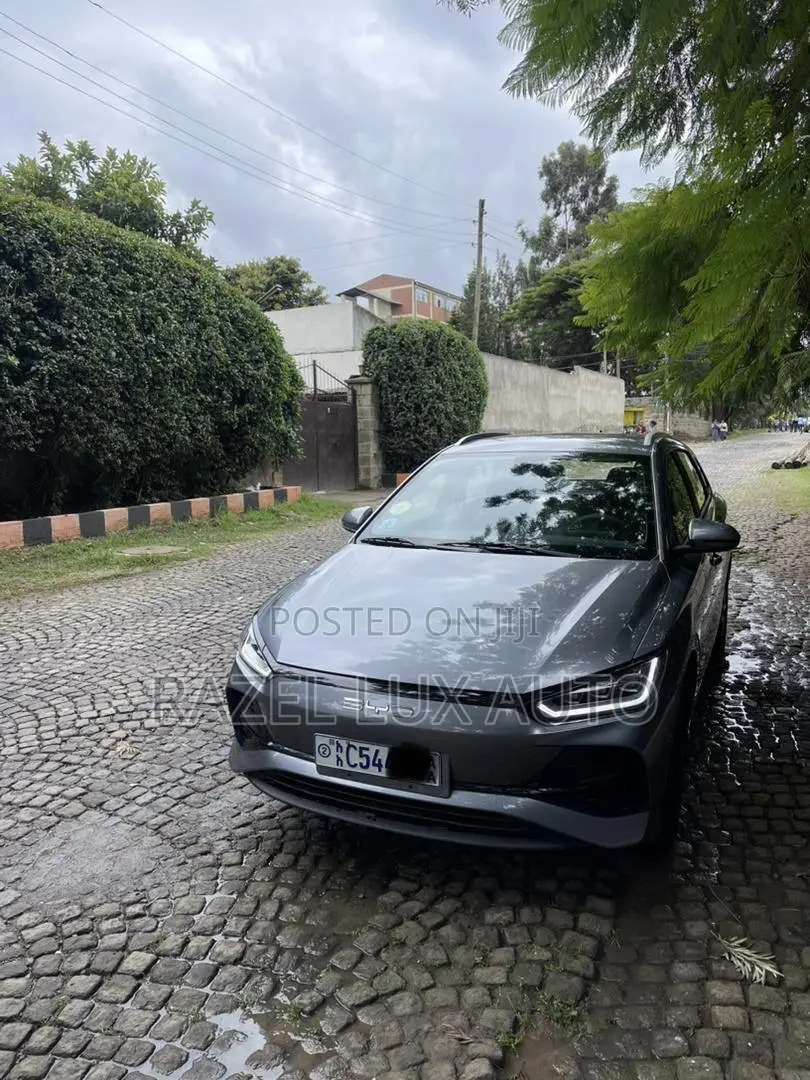 BYD E2 43 kWh 94 hp FWD 2024 Gray