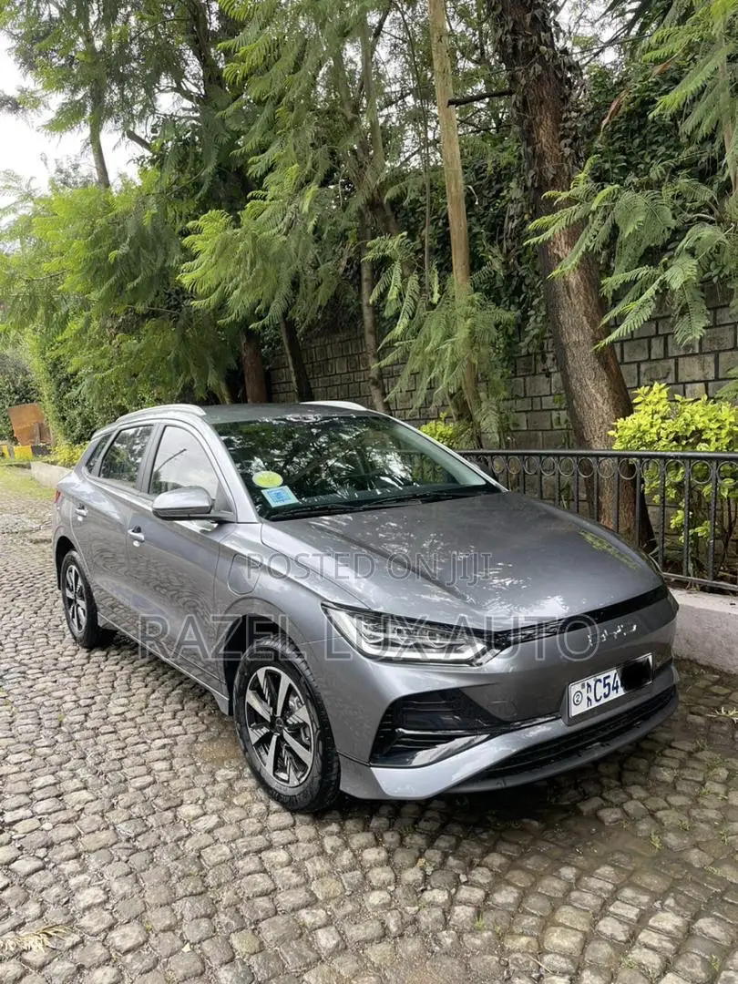 BYD E2 43 kWh 94 hp FWD 2024 Gray