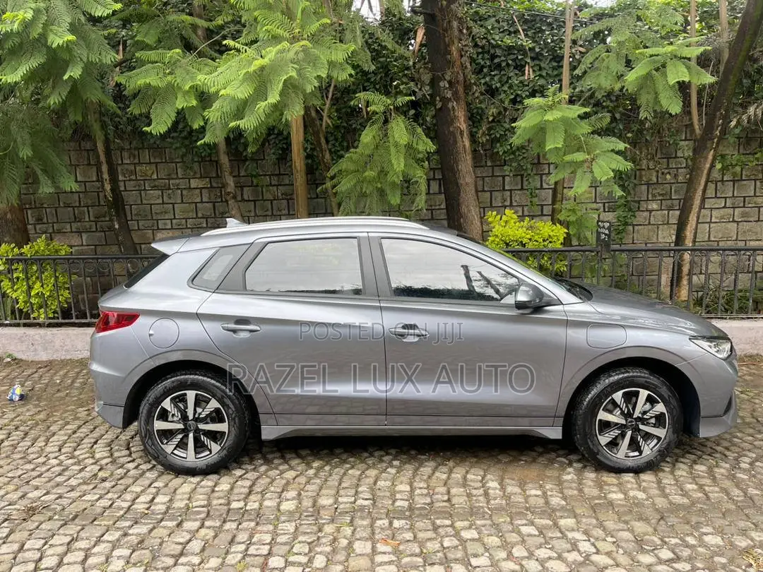 BYD E2 43 kWh 94 hp FWD 2024 Gray