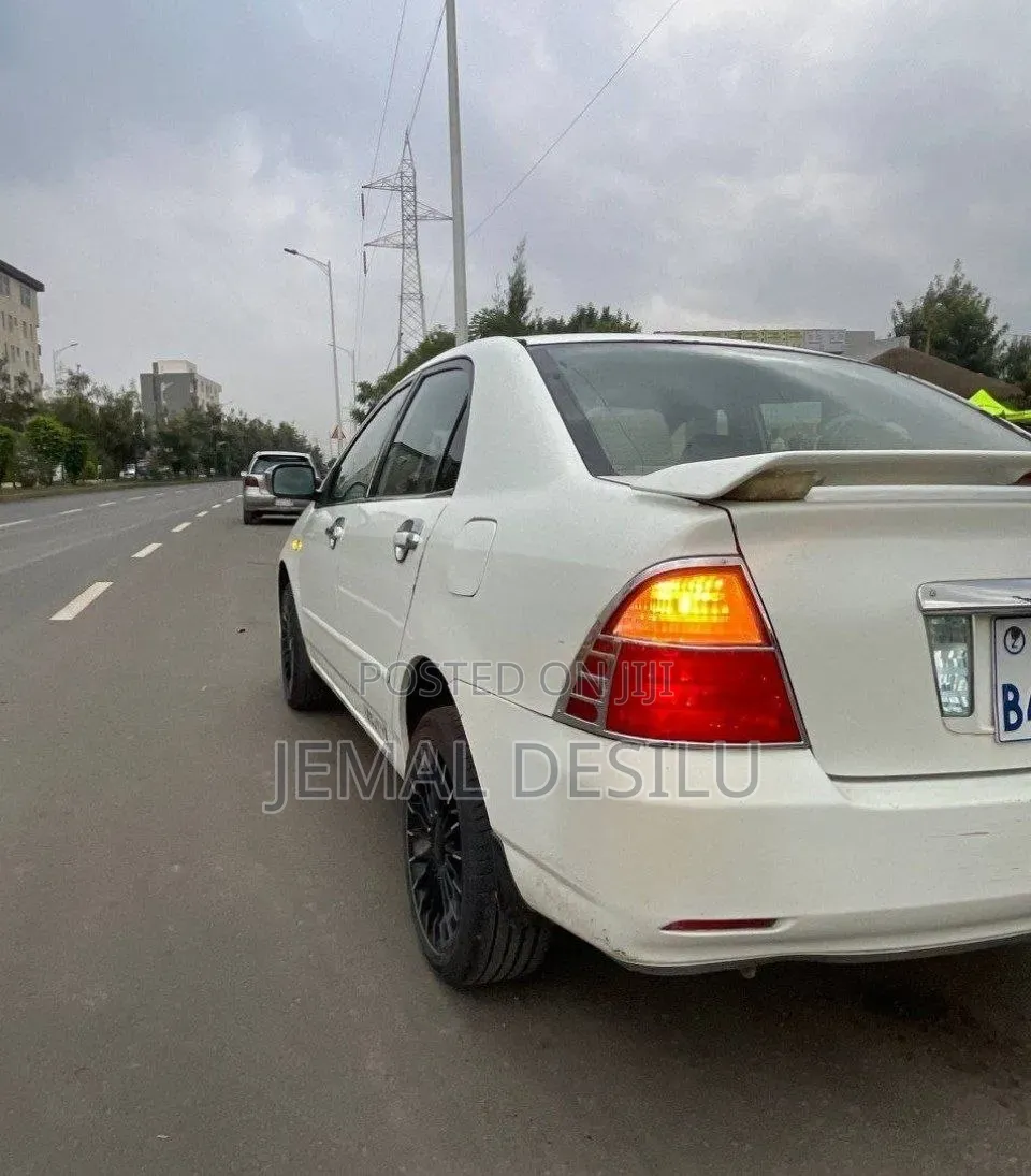 Toyota Corolla 2005 White