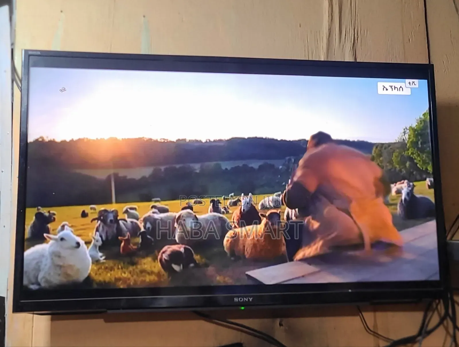 Sony 43 Inch