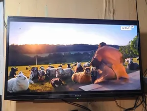 Sony 43 Inch