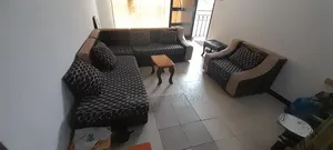 Used Sofa to Be Sold
