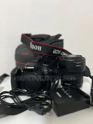 Canon 80d With 18-135mm Usm Lens