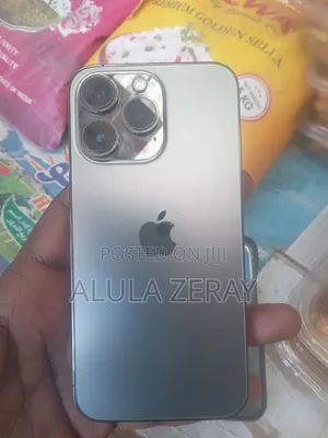Apple iPhone 13 256 GB Gray