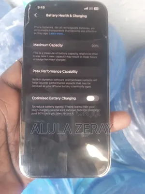 Apple iPhone 13 256 GB Gray