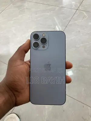 Apple iPhone 13 Pro Max 256 GB Silver