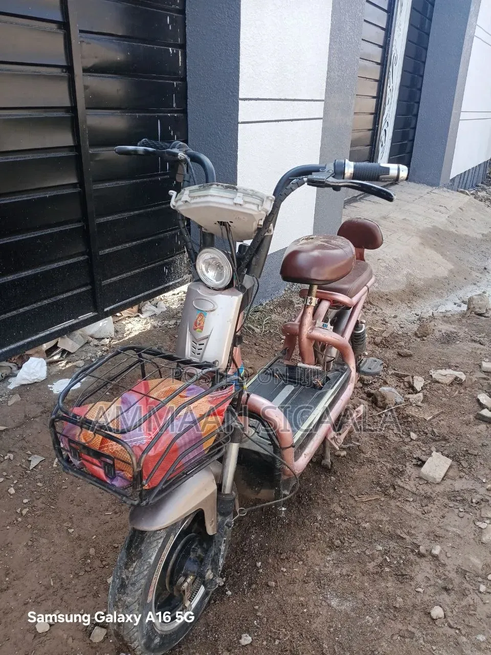 Motorcycle 2024 Purple