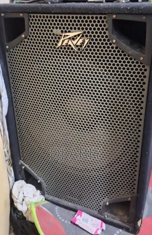 Peavy 18 Inch Sub