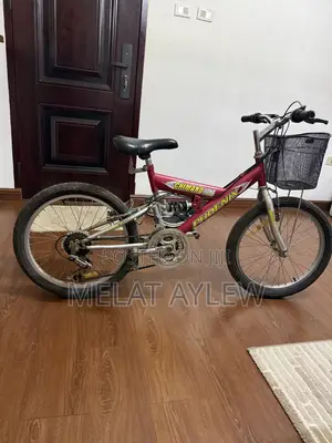 ሳይክል የልጆች አሰከ 10 አመት ዩዝድ