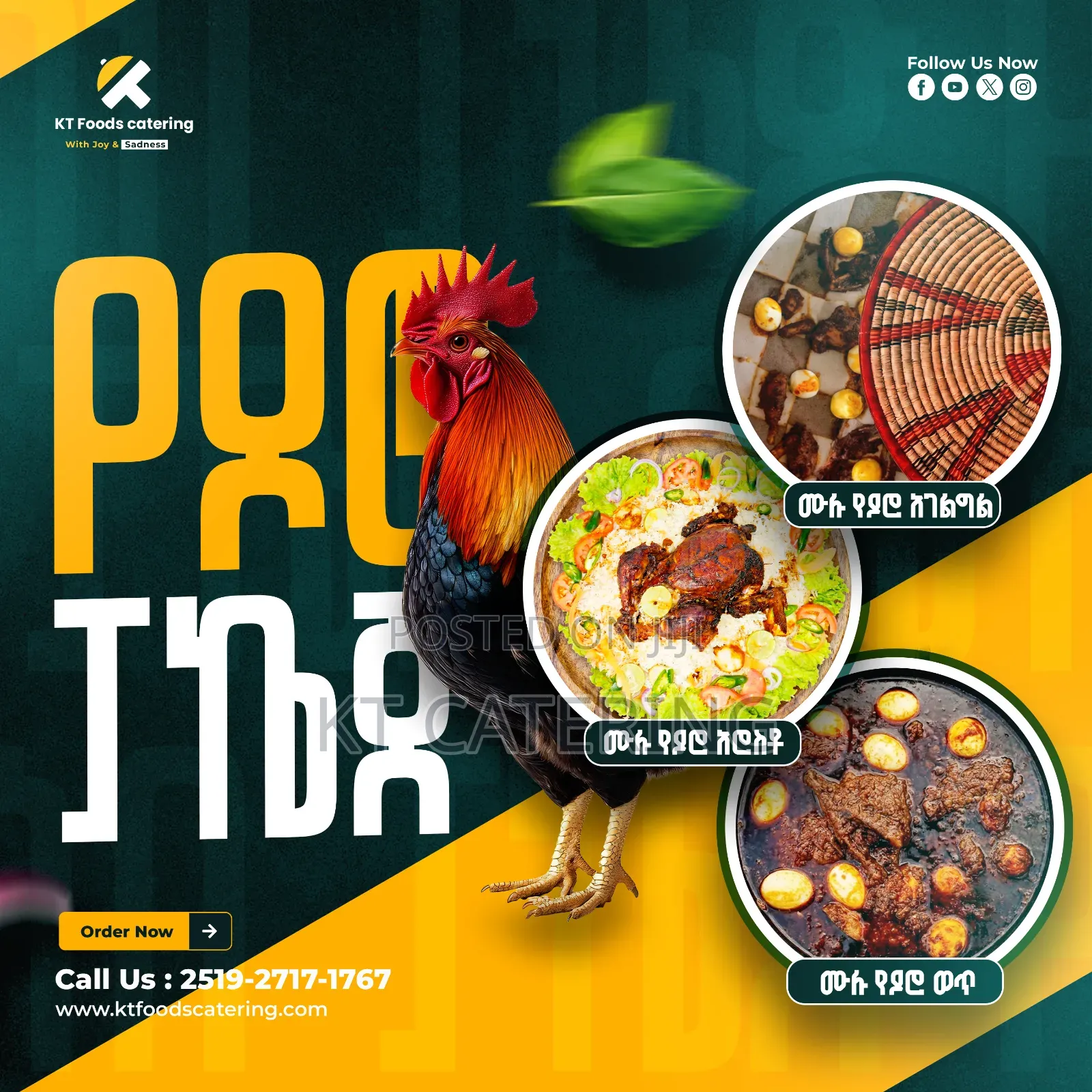 የዶሮ ልዩ ድግስ በኬቲ ኬተሪንግ (Kt Catering)! | Delicious Chicken Specials