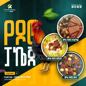 የዶሮ ልዩ ድግስ በኬቲ ኬተሪንግ (Kt Catering)! | Delicious Chicken Specials