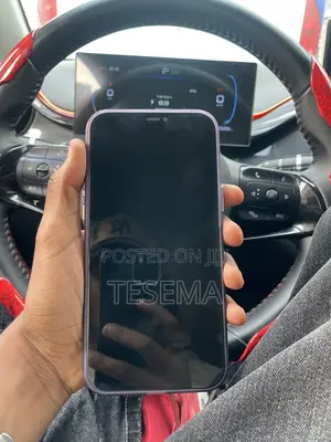 Apple iPhone 12 Pro Max 128 GB Gray