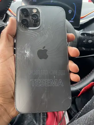 Apple iPhone 12 Pro Max 128 GB Gray