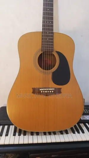 Vantage vs-25 Acoustic Guitar