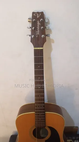 Vantage vs-25 Acoustic Guitar