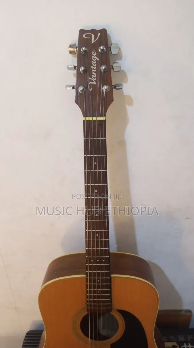 Vantage vs-25 Acoustic Guitar