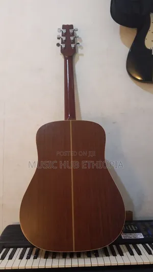 Vantage vs-25 Acoustic Guitar
