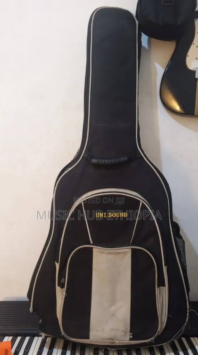 Vantage vs-25 Acoustic Guitar