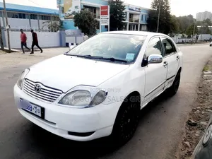 Toyota Corolla 2003 White