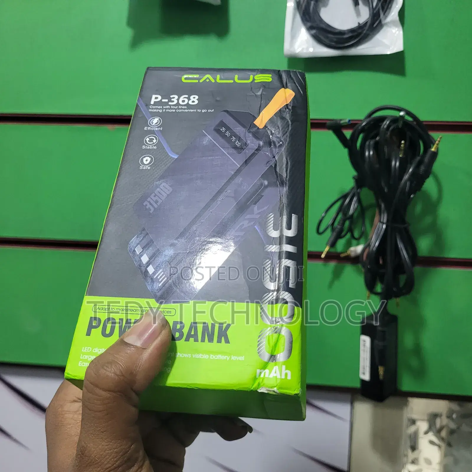Powerbank 31