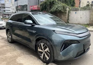New BYD Tang EV 2025 Gray