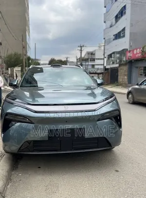 New BYD Tang EV 2025 Gray